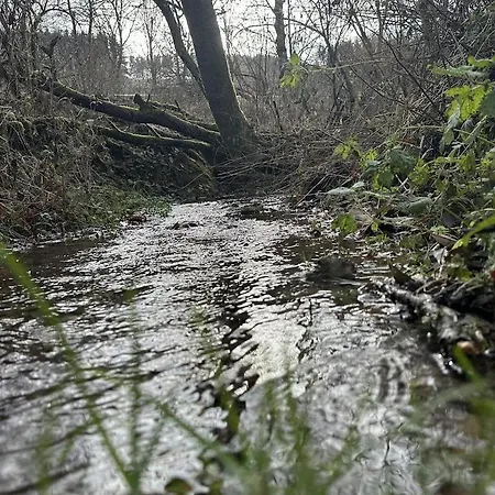 Stammecke