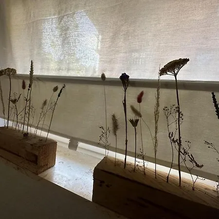 Stammecke شقة وينتربرغ