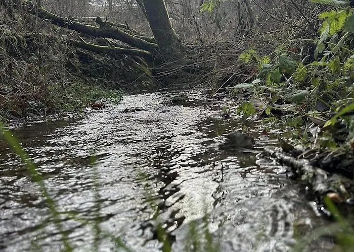 Stammecke